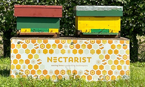 Twee kleurrijke bijenkorven, één rood en groen en de andere geel en groen, met een bord van Nectarist op de voorgrond, waarop staat